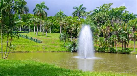  De Jardín Botánico de Río Negro: Een Oase van Rust en Biologische Diversiteit!