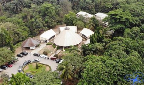   Lekki Conservation Centre: Een verborgen oase van rust en avontuur in het bruisende Lagos!